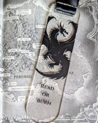 Záložka inspirovaná knihou Onyxová bouře od Rebeccy Yarros 🤩 Co na ni říkáte? Brali byste takové rozšíření sortimentu? 😁...